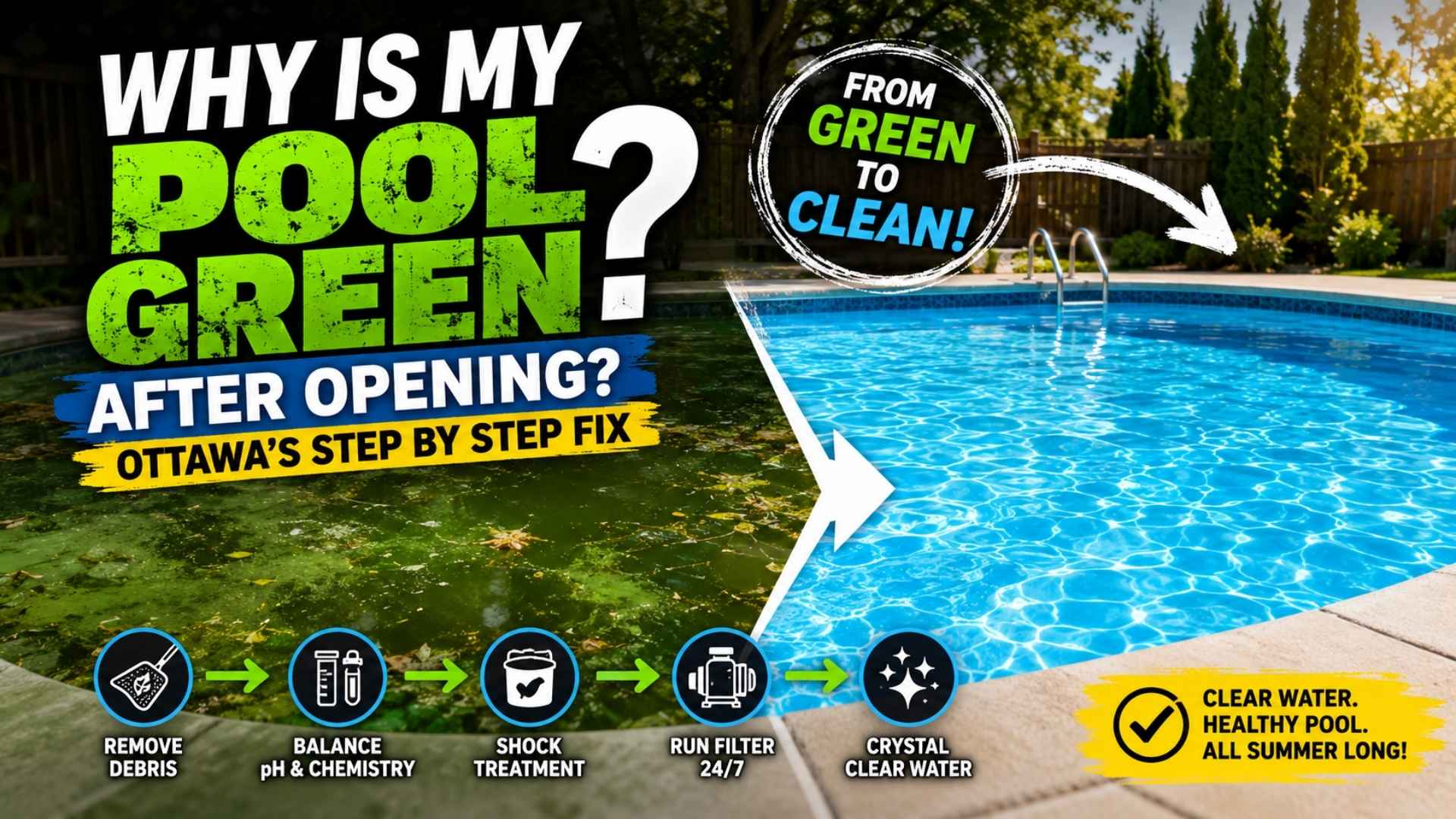 why-is-my-pool-green
